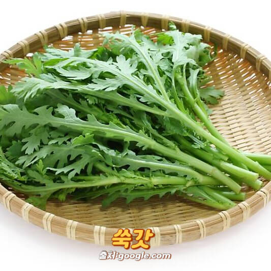 쑥갓