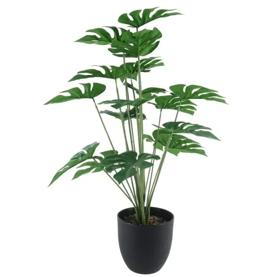 화분 귀가 후 점검 흙수분상태 잎건강확인 병해충 빠른대처 요령_8