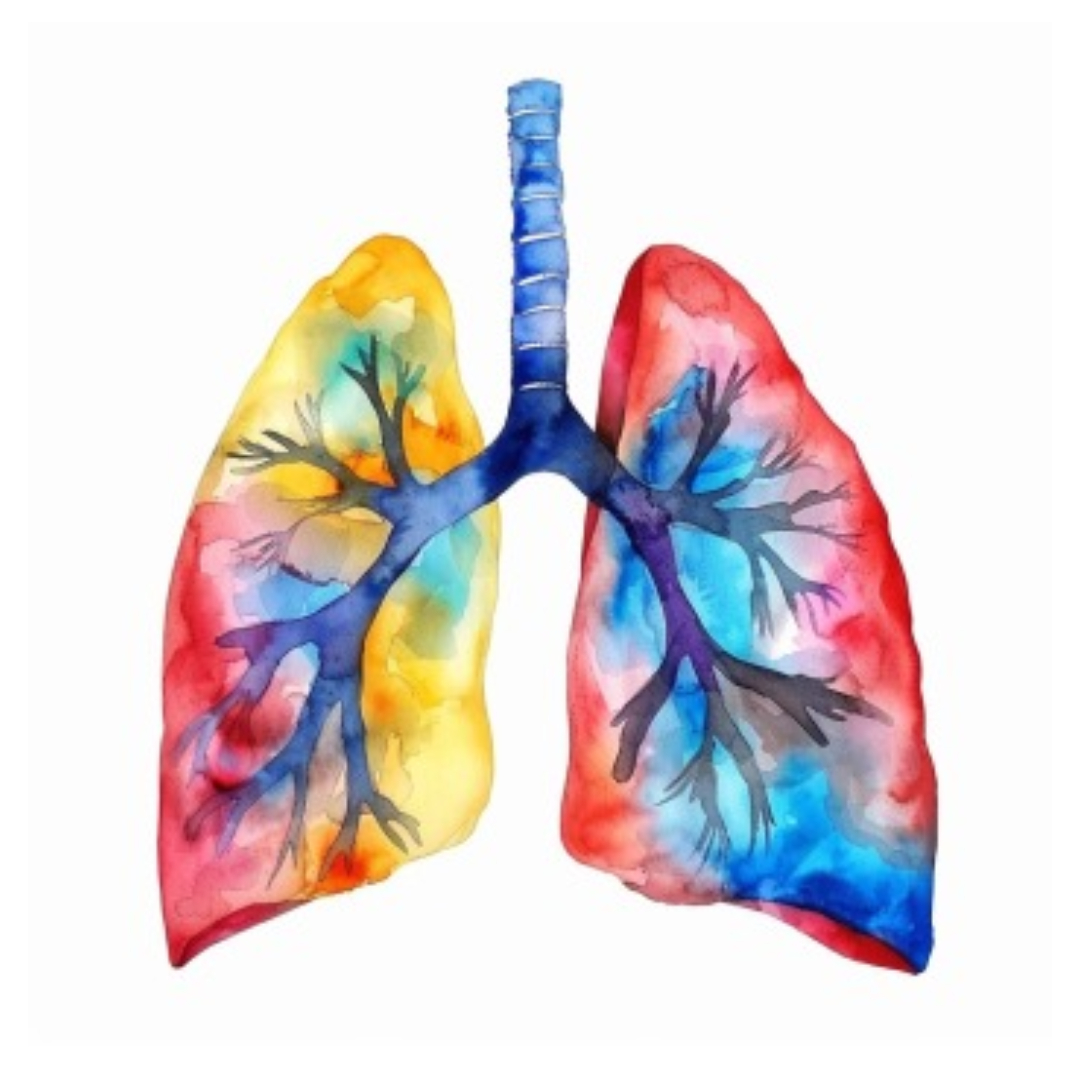 대장암과 관련된 사진입니다.