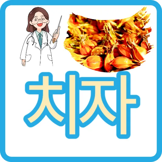 치자 효능 치자나무 치자가루 치자차 치자물 치자팩 치자 가격