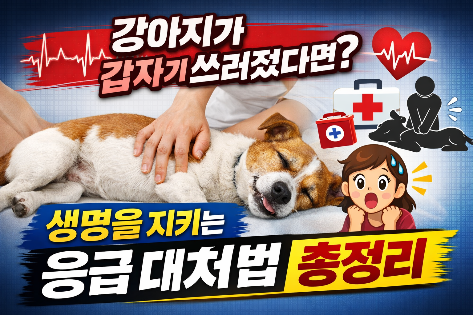 강아지가 갑자기 쓰러졌다면