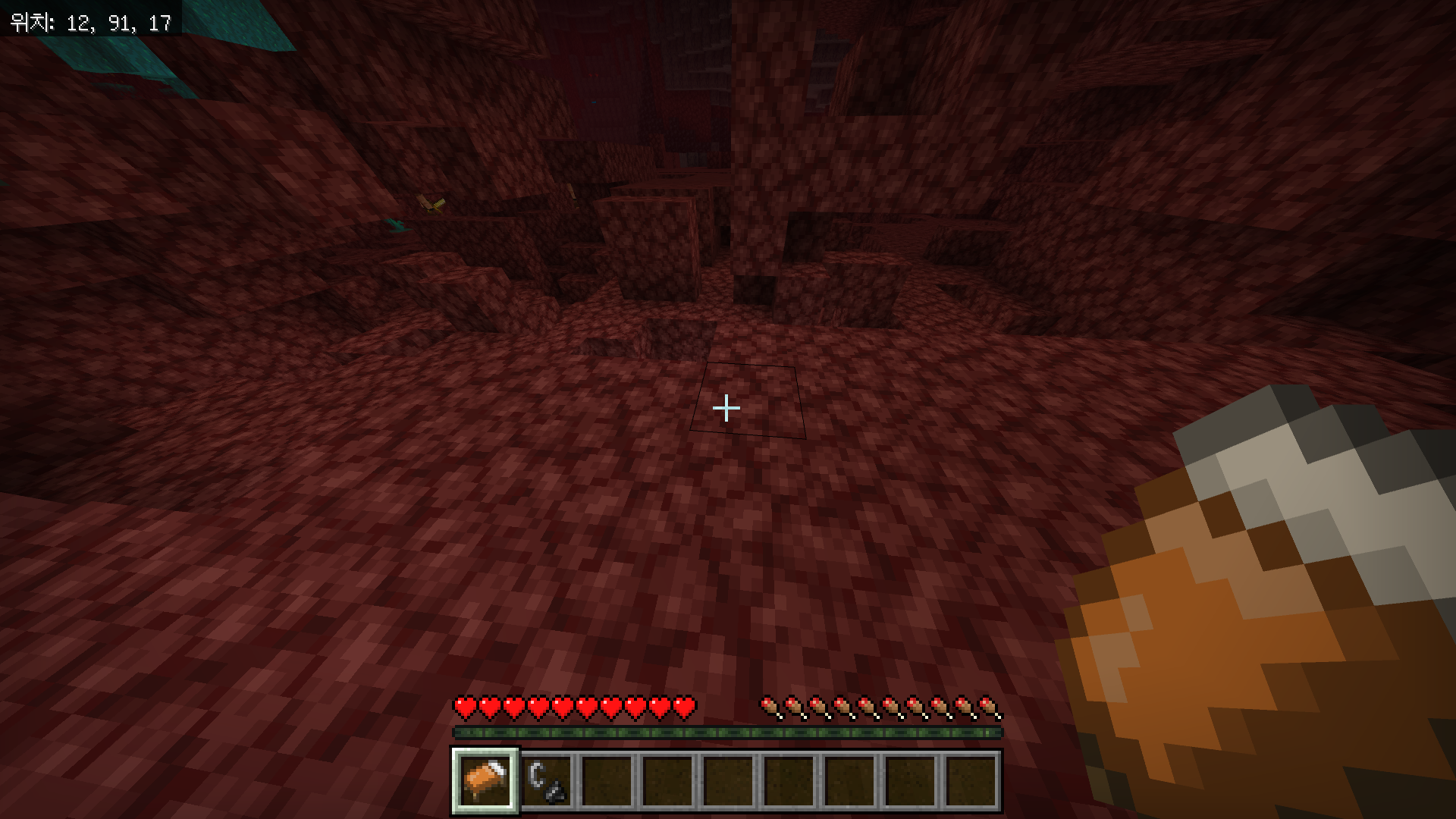 마인크래프트 광물 좌표 및 분포 - 다이아몬드와 네더라이트