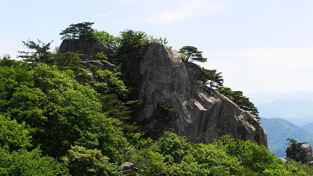 대둔산 등산코스 상세 등산지도와 안전한 산행 팁 2025_8