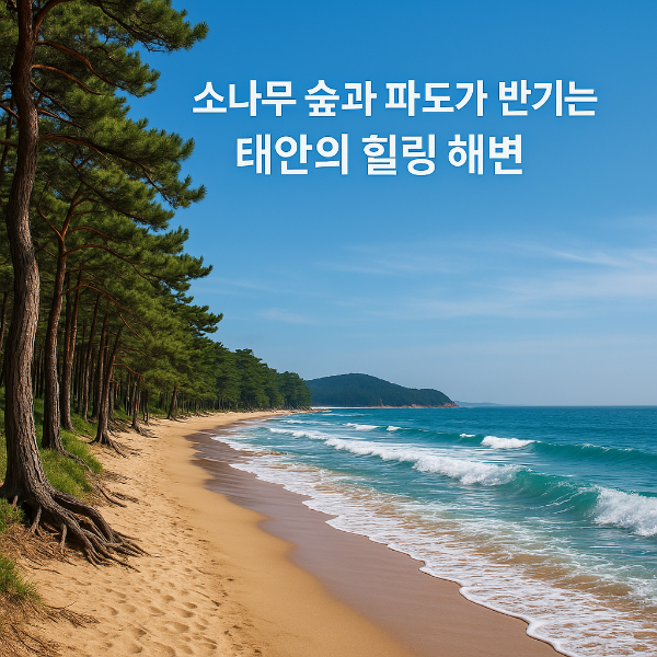 태안 바람아래해수욕장