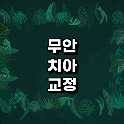 무안군 교정 치과