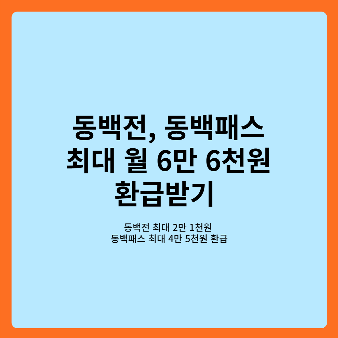 동백전, 동백패스