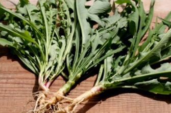 3월 제철 음식&amp;#44; 식재료&amp;#44; 해산물&amp;#44; 과일&amp;#44; 달래&amp;#44; 씀바귀&amp;#44; 쑥&amp;#44; 소라&amp;#44;