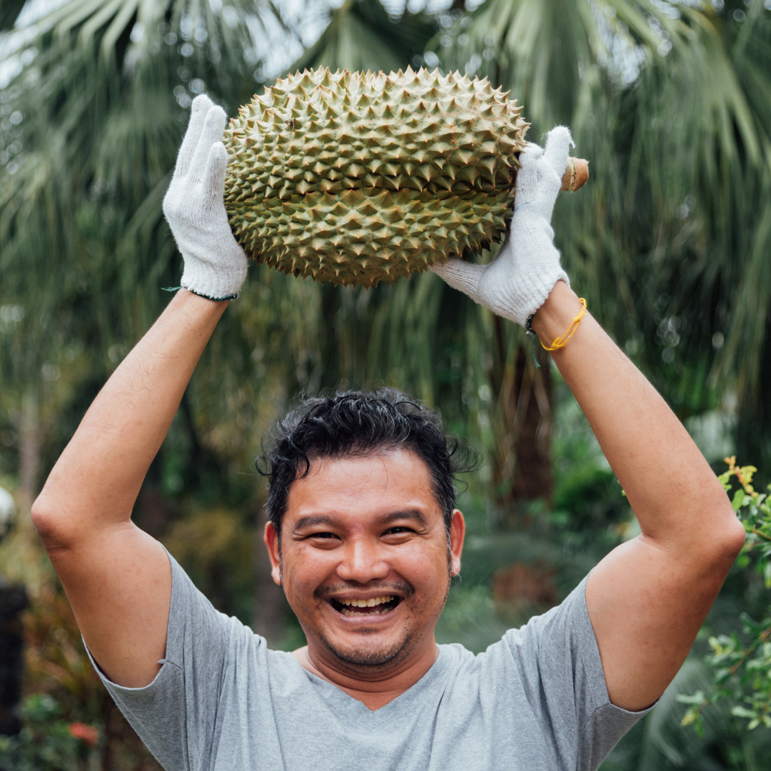 두리안 맛&amp;#44; 효능&amp;#44; 후숙&amp;#44; 냄새&amp;#44; 종류&amp;#44; 칼로리 정보