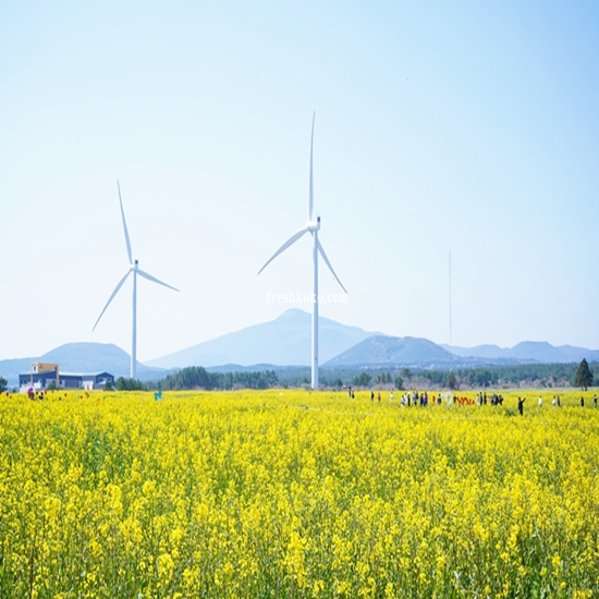 4월 제주도 여행코스 2박3일