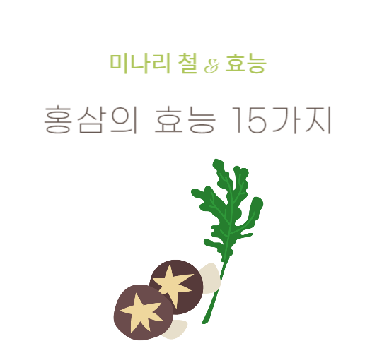 미나리효능,미나리철