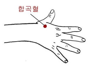 체했을때_지합법_합곡혈