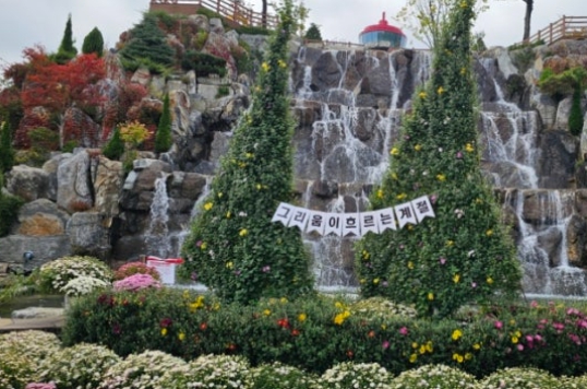 용인/새로운/인기/핫플/용/자작나/숲