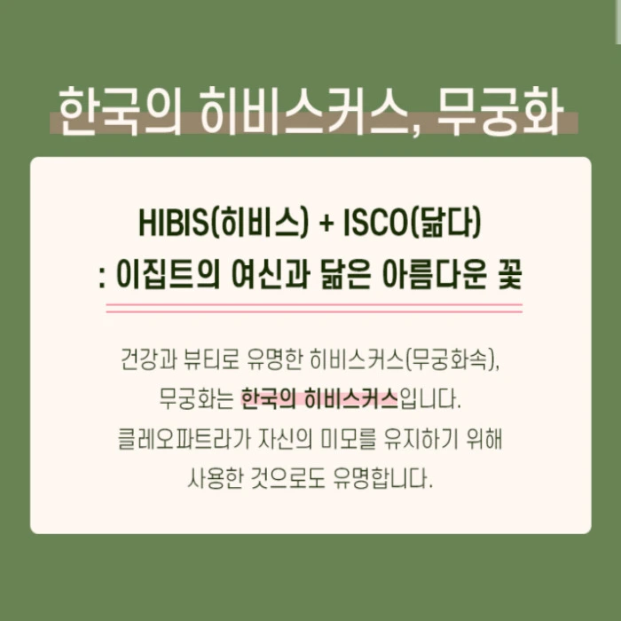 무궁핏 부작용 효능 후기 복용법 가격 다이어트 효과