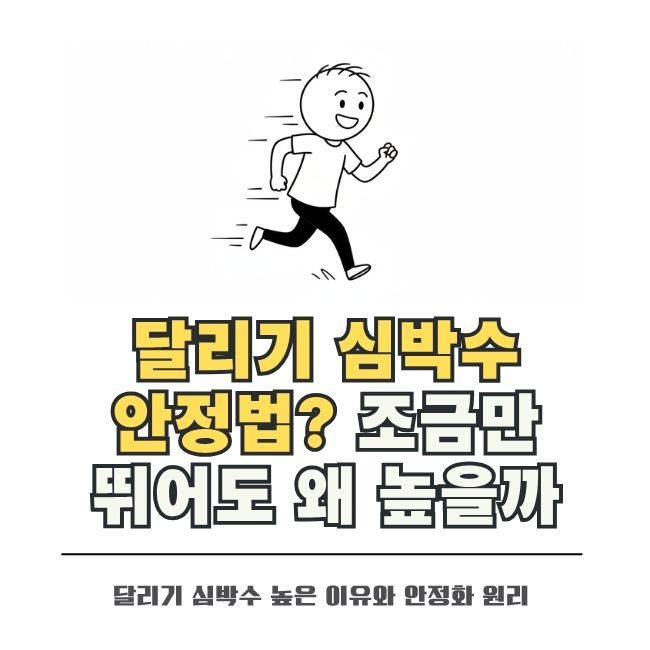 꾸준한 달리기로 안정되는 심박수와 심장 건강의 변화