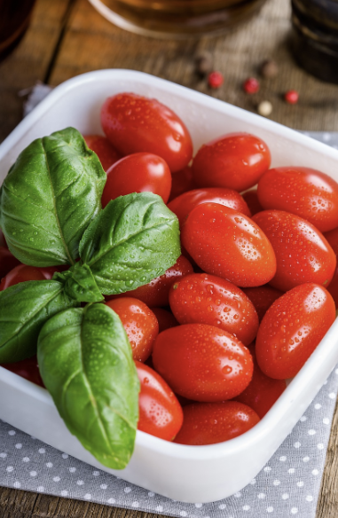 간헐적 단식 저탄고지