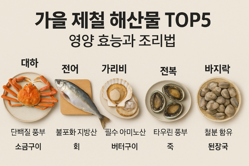 가을 제철 해산물 TOP5 영양 효능과 조리법