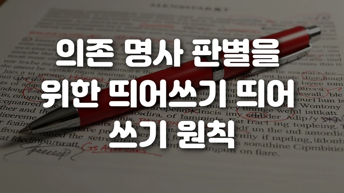 의존 명사 판별을 위한 띄어쓰기 띄어 쓰기 원칙