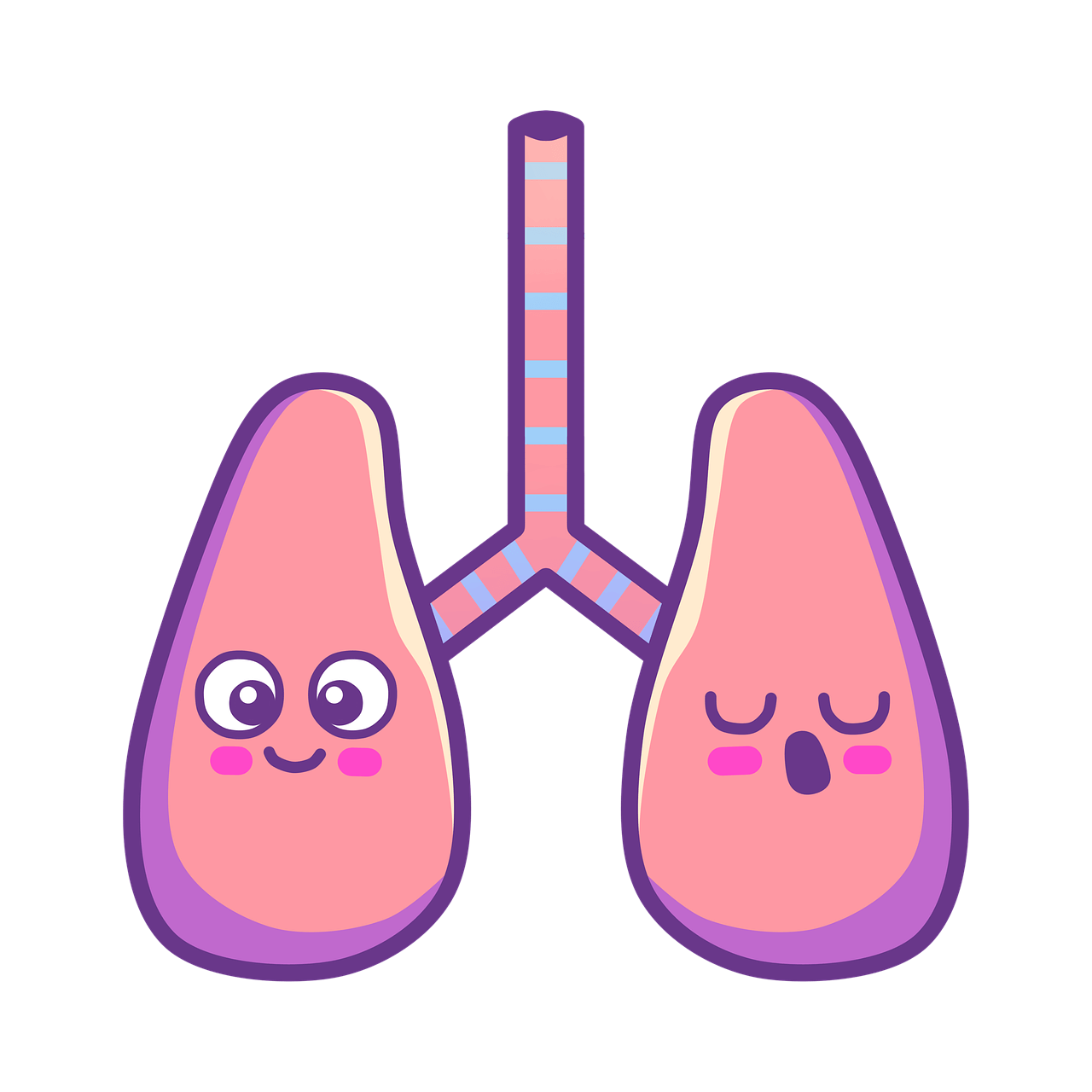 폐기흉 원인 조치 진단 치료 가이드