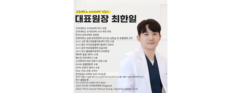 서울 강남구 동물병원