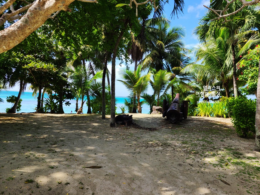 사이판 입국 최신 정보 필요 서류 영문 백신 접종 증명서, 필수입국신고서 폐지