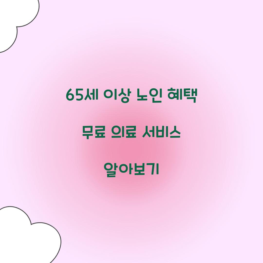 65세 이상 노인 혜택