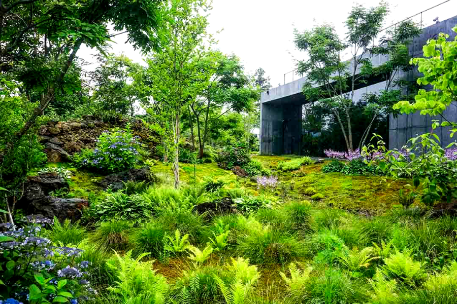 특색있고 아름다운 민간 정원 30선 추천 여행 - 09. 제주 베케정원