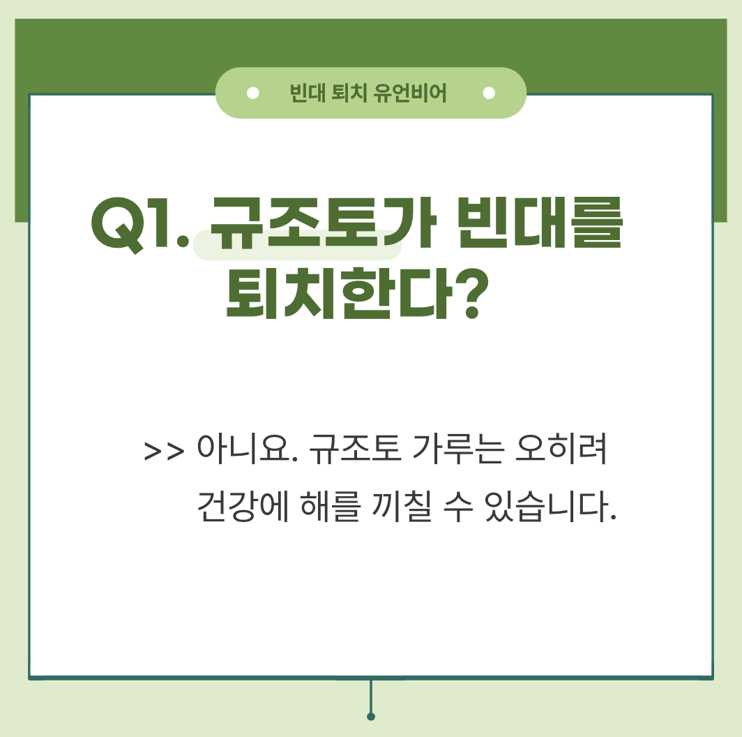 빈대 퇴치 방법 및 빈대 퇴치 유언비어(+2024)