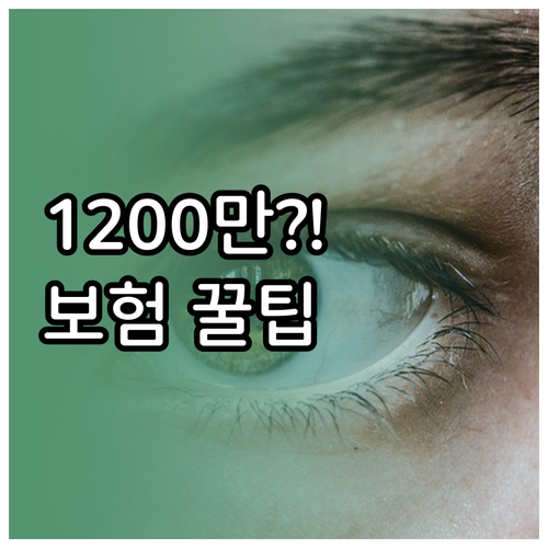 백내장 수술비 400만~1200만원 ..