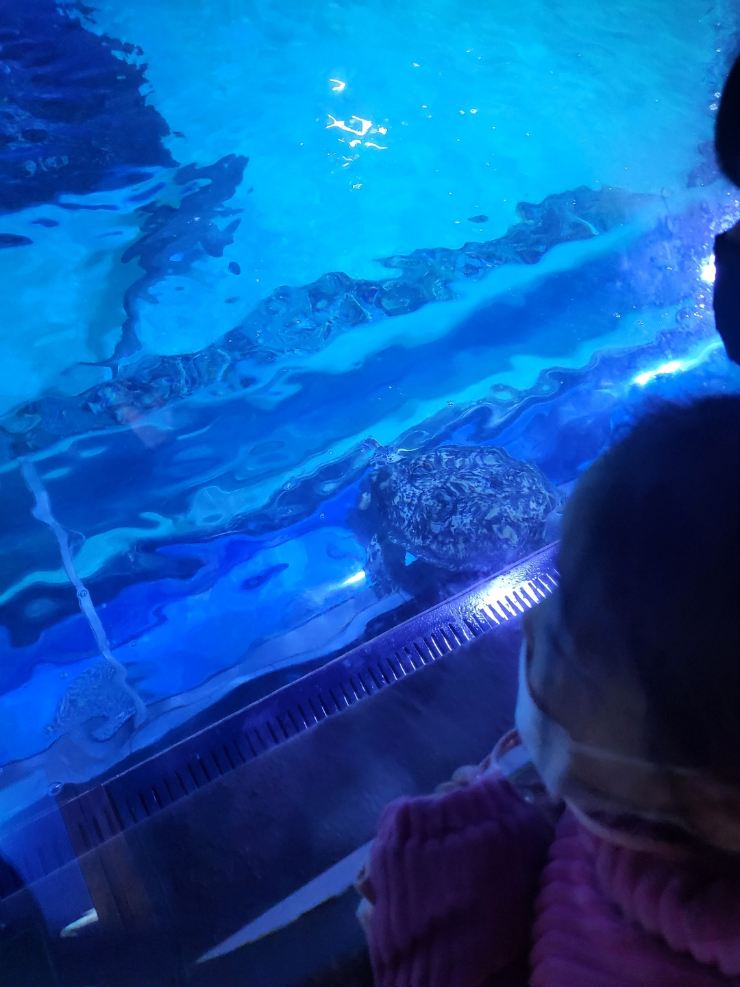 부산 아쿠아리움