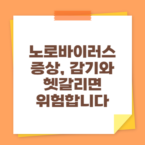노로바이러스 증상, 감기와 헷갈리면 위험합니다