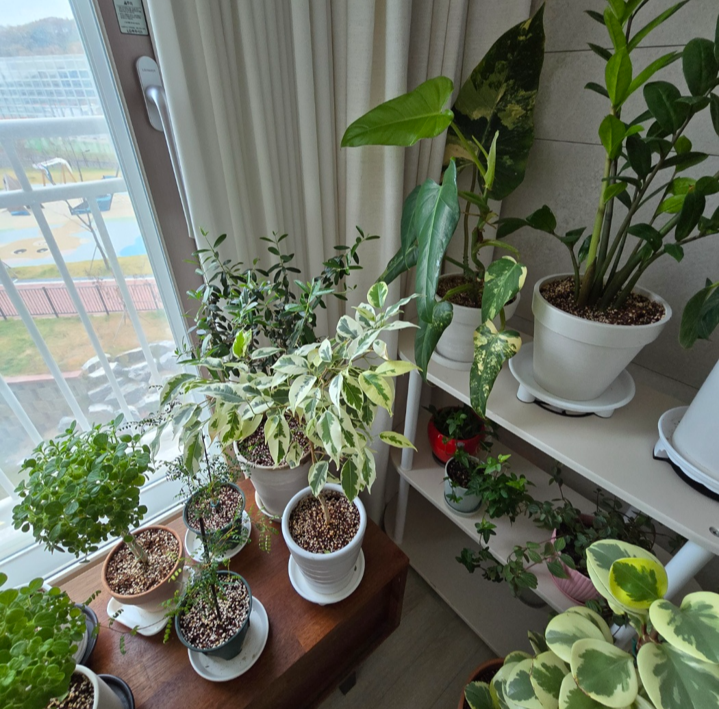 창가자리로 옮겨주었어요