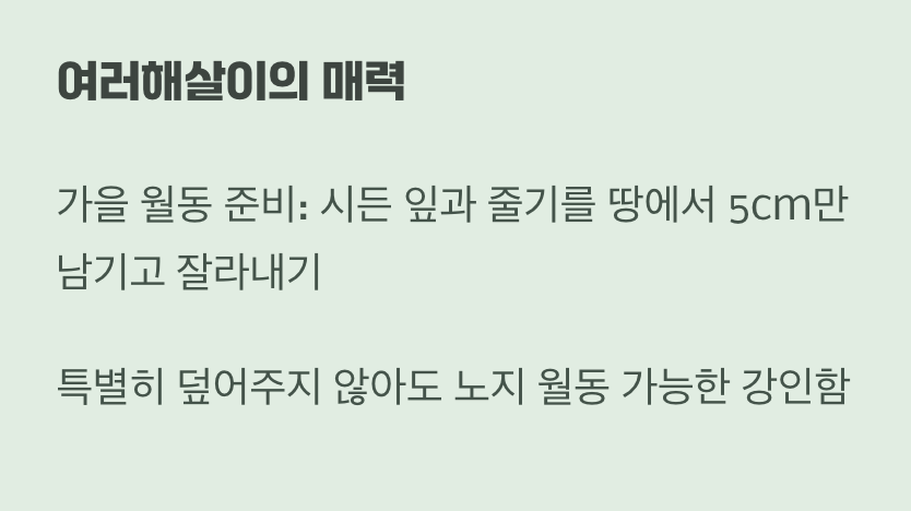 한번 심으면 영원한 친구, 여러해살이의 매력