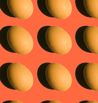 알부민 많은 음식