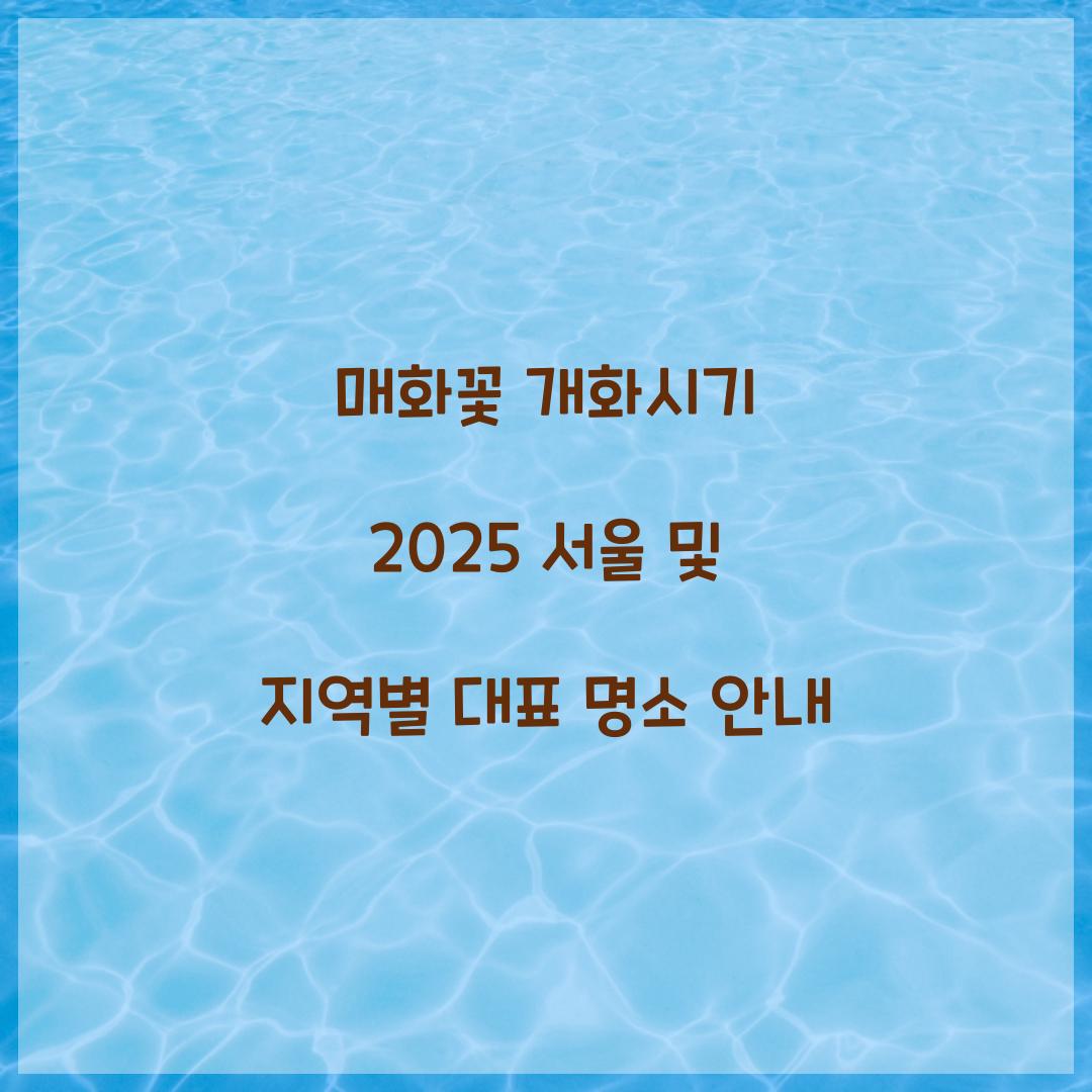 매화꽃 개화시기 2025