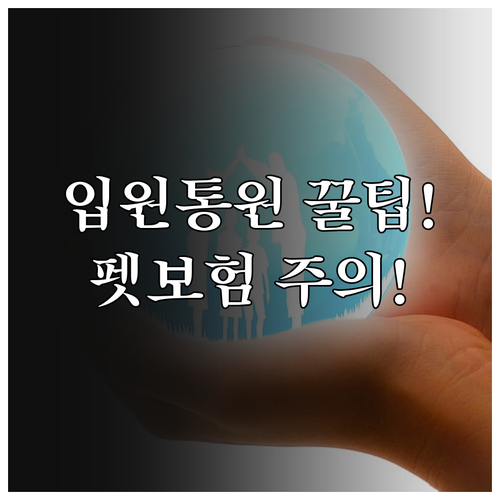 입원과 통원, 펫보험 선택 기준과 주..