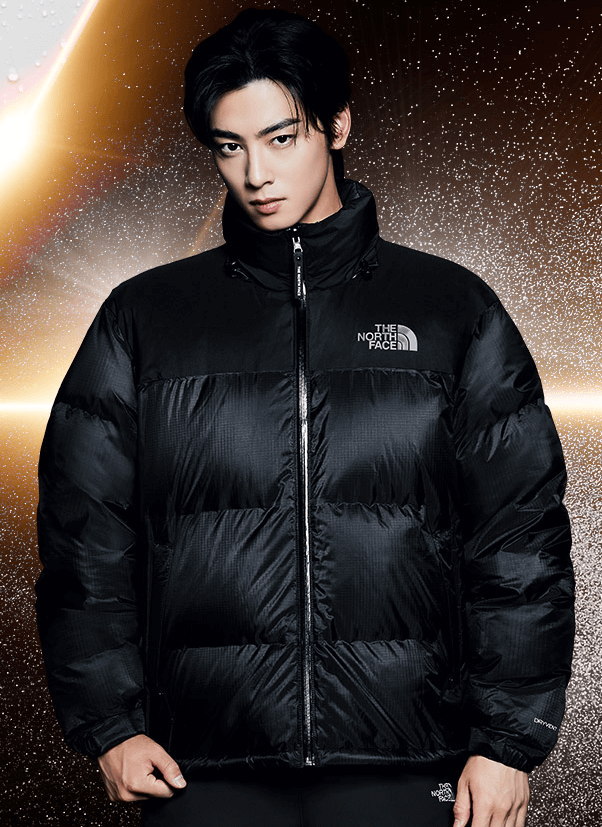 노스페이스 눕시패딩