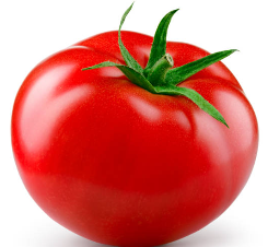 토마토