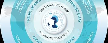 IB 45점 만점 받는 법: 과목 선택부터 대학 진학까지 관련사진