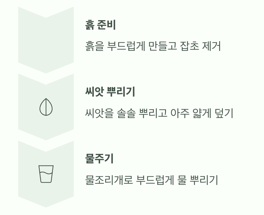 초간단 가을 파종 방법