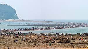 보령 가볼 만한 곳