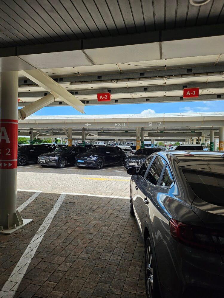 제주도 렌터카 이용 후기 렌터카 추천