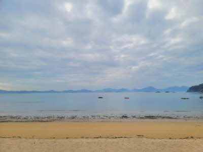 해수욕장 개장일