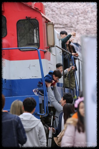 매화가 유명한 전국 여행지 톱 5