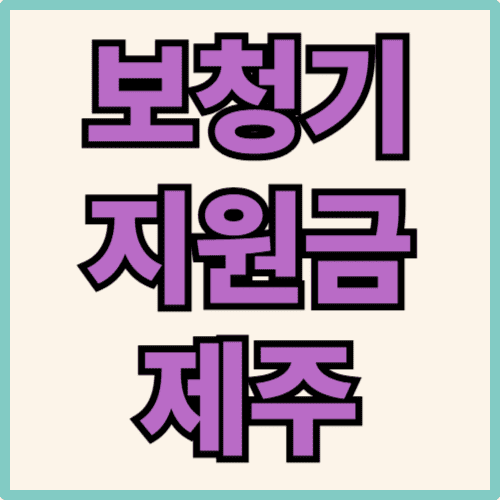 제주 보청기 지원금 관련 사진