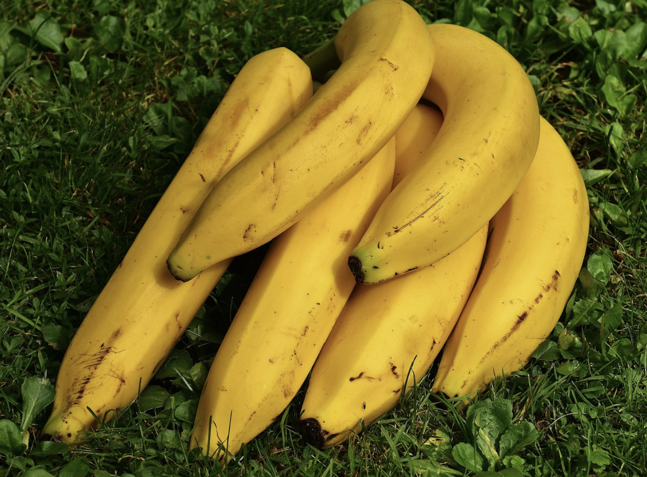 겨울철 부정맥 질환 위험성과 예방법