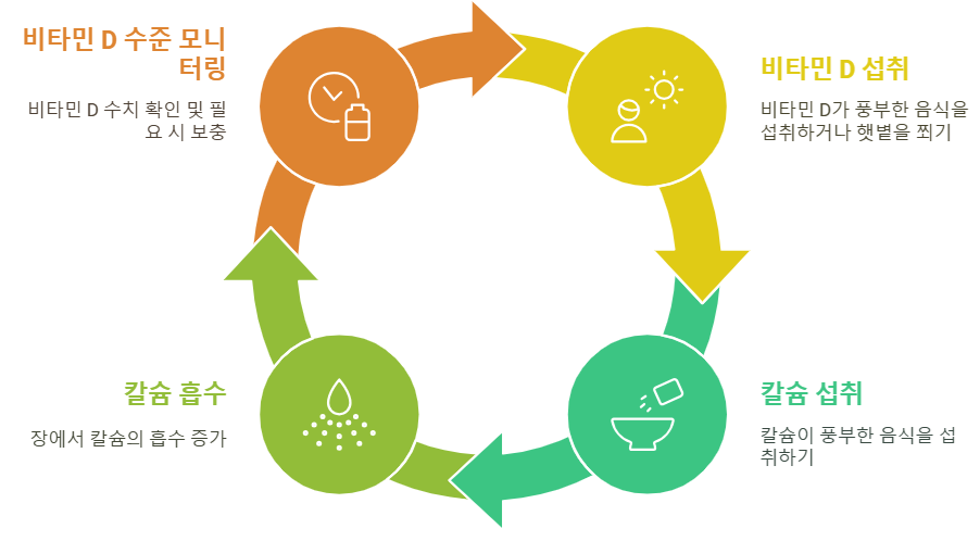 비타민 D와 함께 섭취
