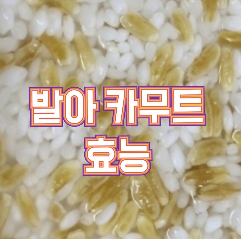 발아-카무트-브랜드밀-효능