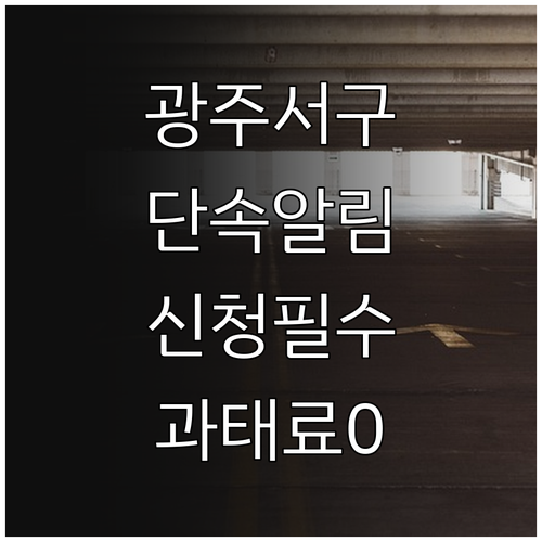 광주 서구청 주정차 단속 문자 알림 ..