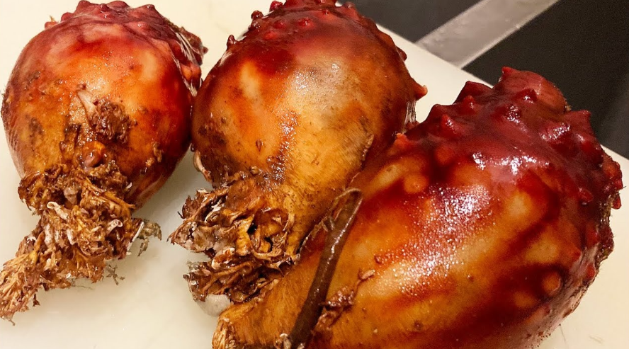 멍게 요리 총정리