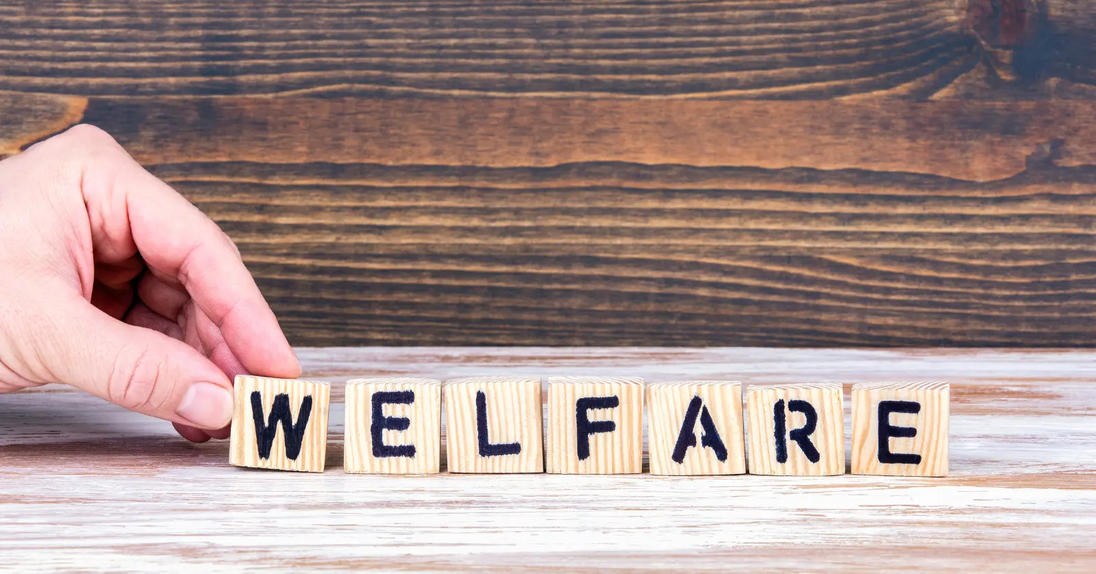 지원 내용과 상담 비용